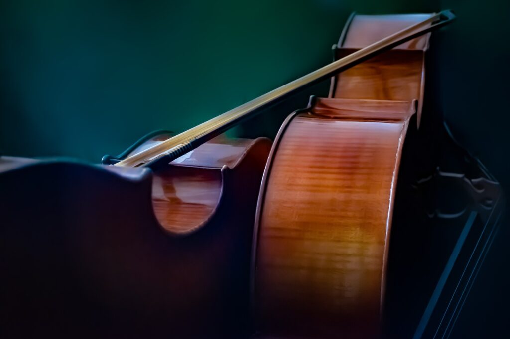 two new cellos, cello and bow.jpg