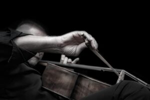 passion, cello, cellist-5026145.jpg