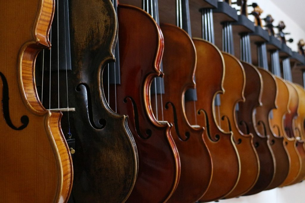 violin, music, fiddle-516023.jpg