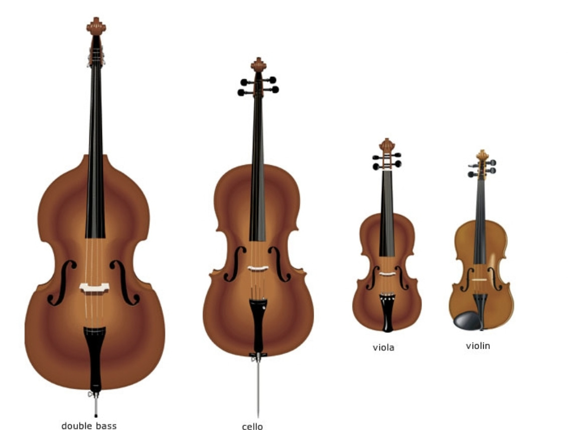 violin, viola, cello, bass, instruments of string family, cello discovery,
