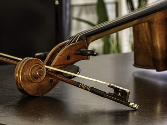Considering Learning the Cello? Here’s all Your Questions Answered!