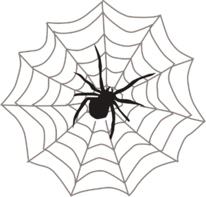 spider web, black, arachnid-309451.jpg