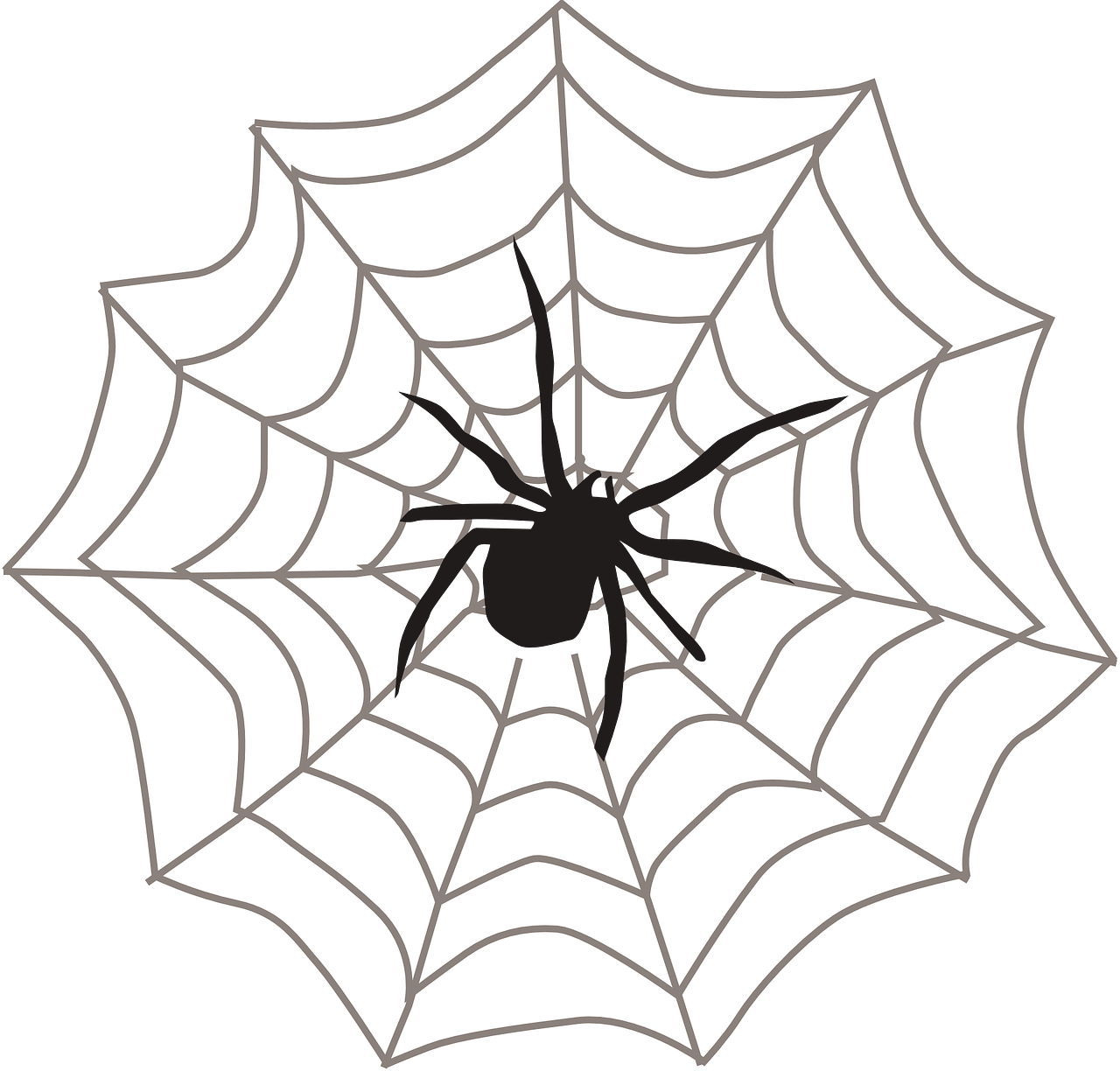 spider web, black, arachnid-309451.jpg