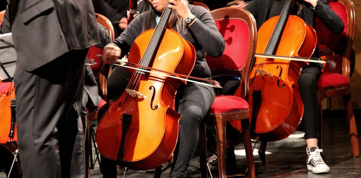 violin, cello, performance-3078149.jpg