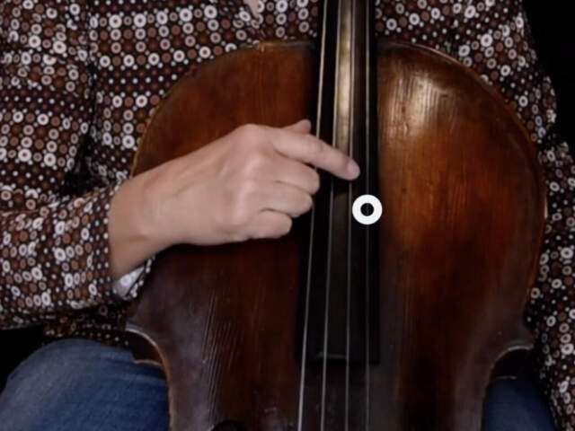 Online Cello Lessons: Great Free and Affordable Adult Cello Lessons for 2025