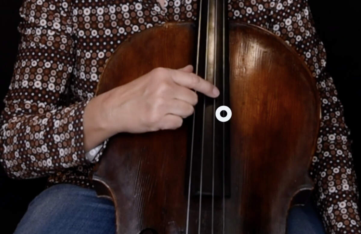 Online Cello Lessons: Great Free and Affordable Adult Cello Lessons for 2025